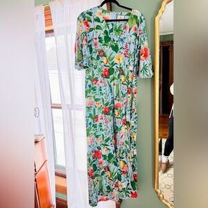 Tuckernuck ginger dress